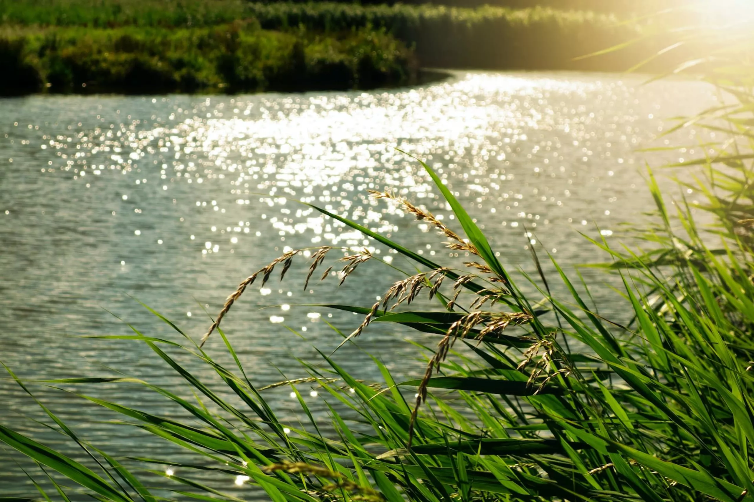 Energiezuinig wonen aan het water